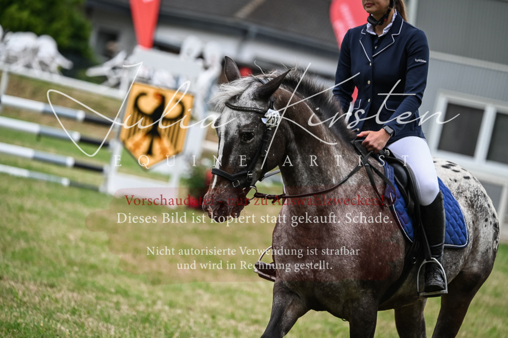 DSC_8542 | Pferde- und Turnierfotografie in Westsachsen. Pferdeportraits, Auftragszeichnungen und intuitive Kunst.
