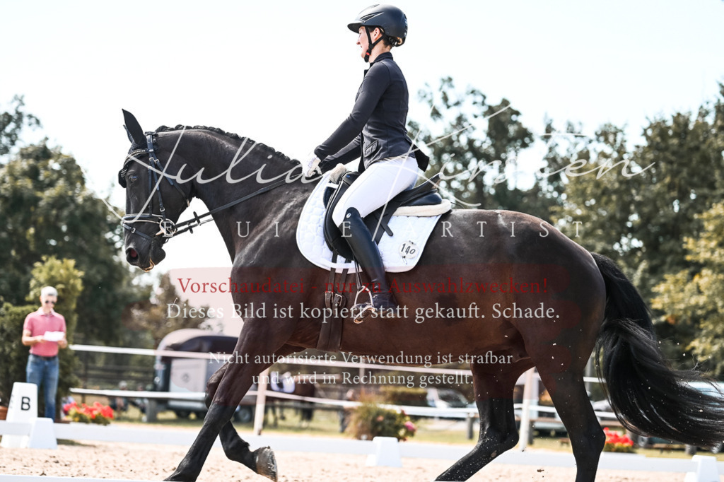 DSC_5342 | Pferde- und Turnierfotografie in Westsachsen. Pferdeportraits, Auftragszeichnungen und intuitive Kunst.