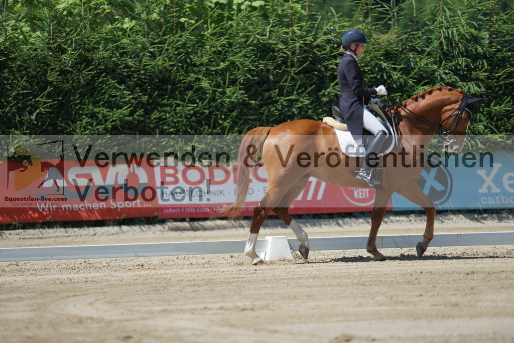 DSC02198 | equestrian-live-com