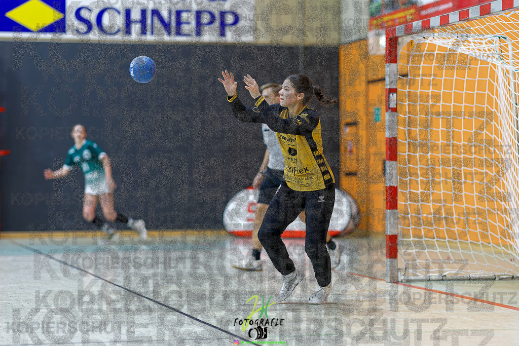 Frauen Regionalliga (HHV); HSG Kleenheim/Langgöns - HSG Baunatal | Frauen Regionalliga (HHV); HSG Kleenheim/Langgöns - HSG Baunatal am 23.11.2025 in Oberkleen (Weidig-Halle)Photo © 2025 - Jörg Heinrich - Realisiert mit Pictrs.com