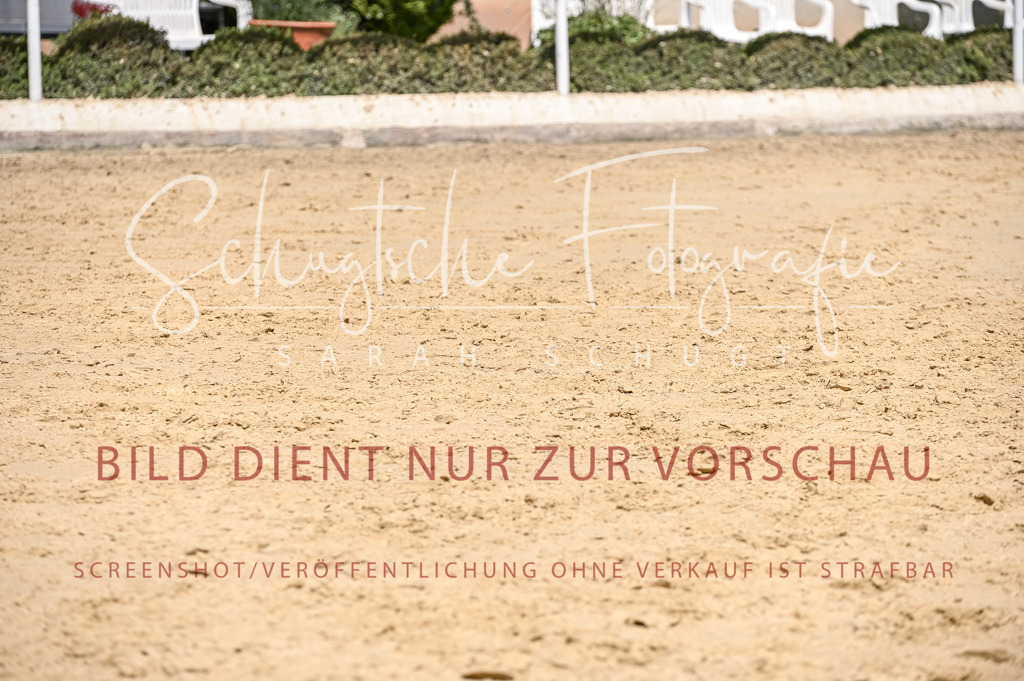 Schugtsche-Aluta25-53.Amat.Dressurprf.A2-473 | Schugtsche Fotografie - Realisiert mit Pictrs.com