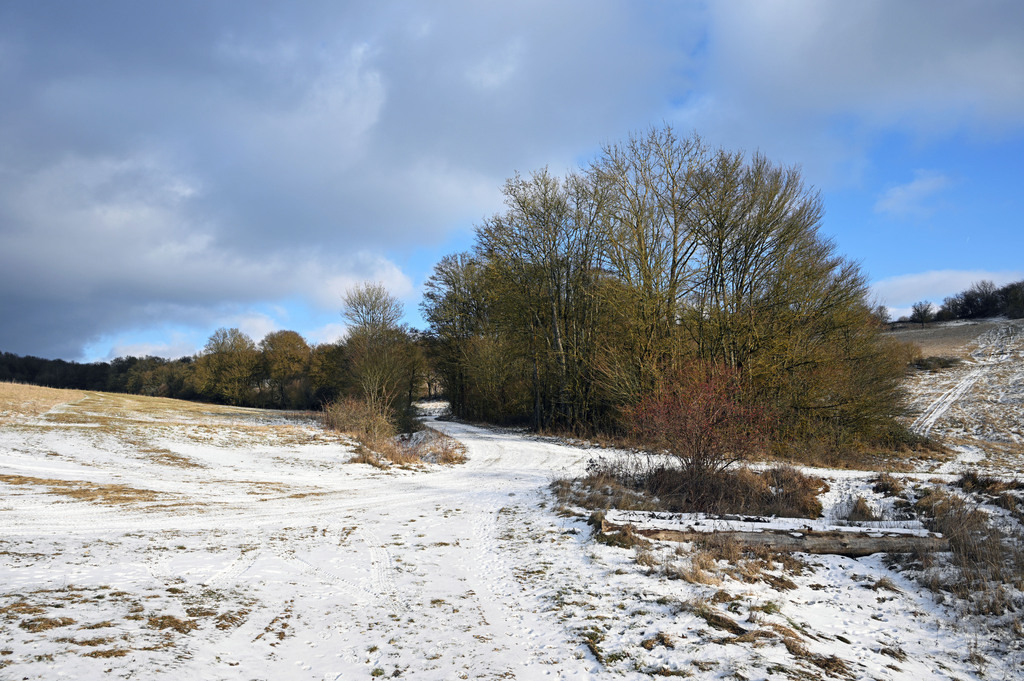 Nikon-Utendorf260105-Landschaft02p | lucisnaturbilder - Realisiert mit Pictrs.com