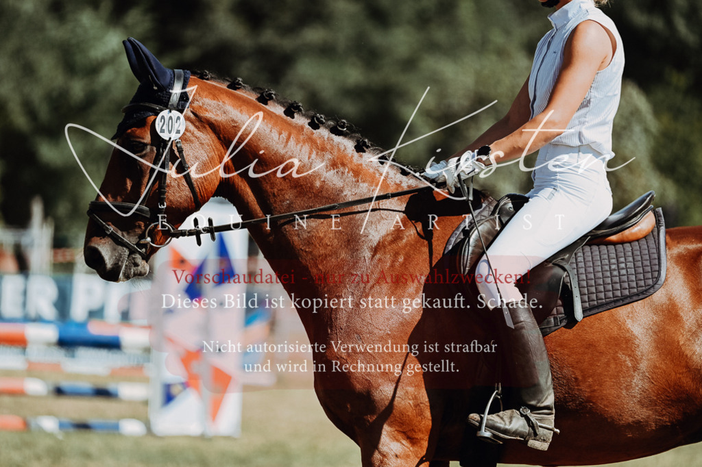 DSC_9509 | Pferde- und Turnierfotografie in Westsachsen. Pferdeportraits, Auftragszeichnungen und intuitive Kunst.