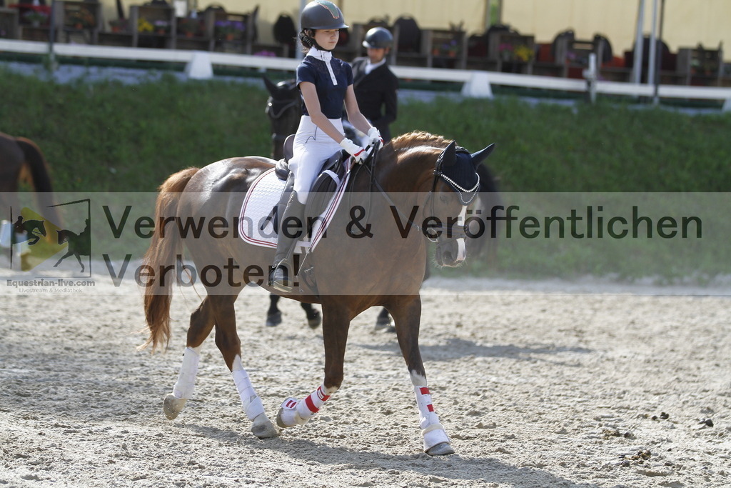 _MG_5691 | equestrian-live-com