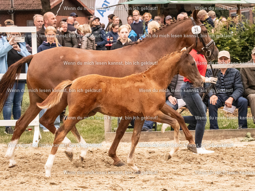 A10I2187 15.54.45 | photographylinaismer - Realisiert mit Pictrs.com