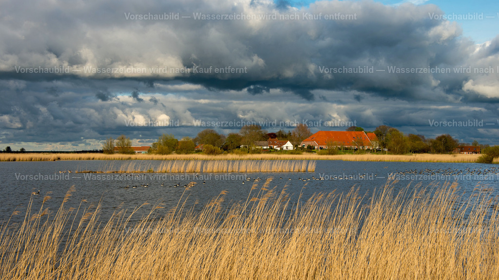 Vor dem Gewitter | Hinter dem Deich bei Greetsiel - Realisiert mit Pictrs.com