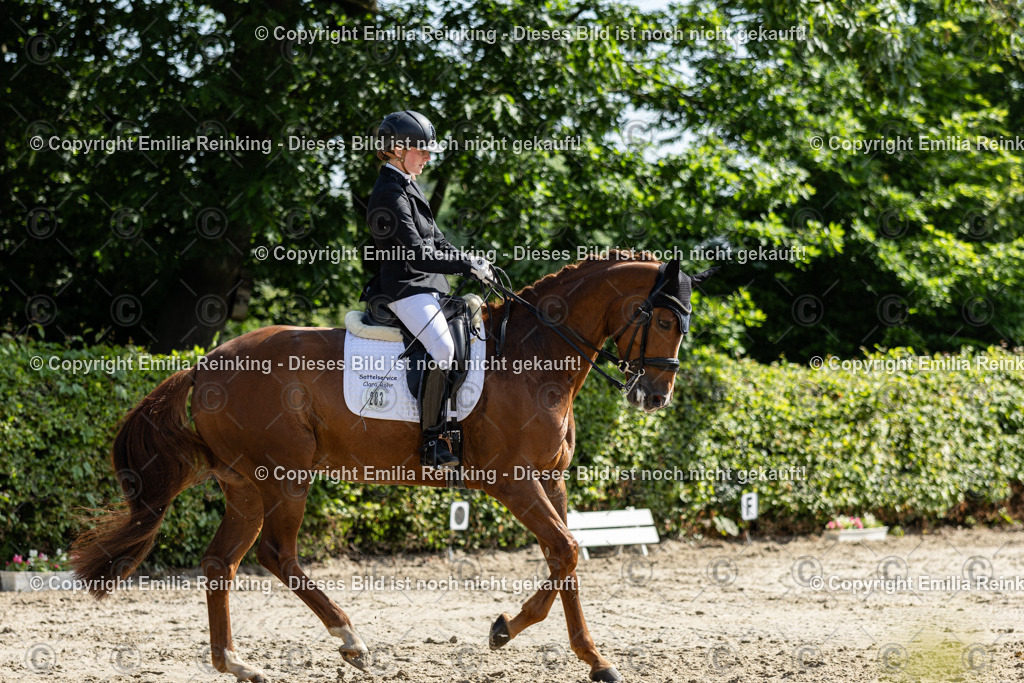 CL5A7434 | Emilia Reinking Fotografie - Realisiert mit Pictrs.com