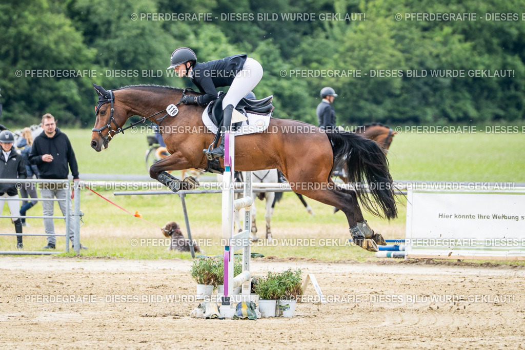 DSC04876 | Pferdegrafie