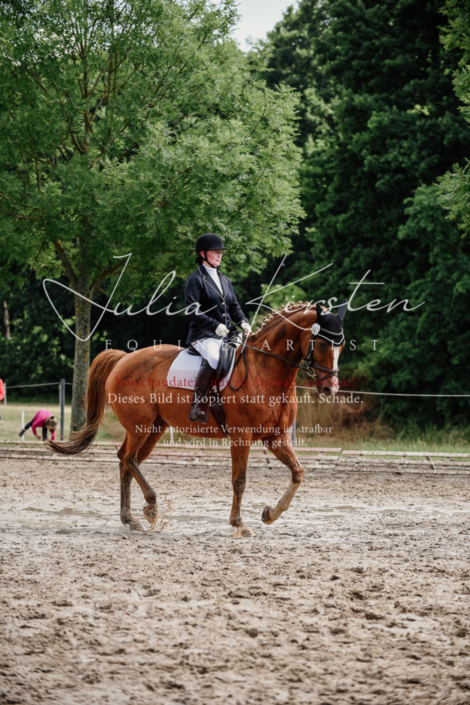 DSC_0672 | Pferde- und Turnierfotografie in Westsachsen. Pferdeportraits, Auftragszeichnungen und intuitive Kunst.