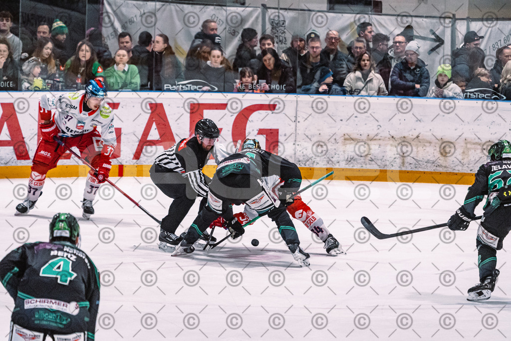 Alligators_vs_Selb_27_02_2026-23 | Höchstadt Alligators Fotogalerie: Eishockey-Action aus Franken. Professionelle Spielfotos, Portraits & Stadionbilder zum Download. Jetzt entdecken! - Realisiert mit Pictrs.com