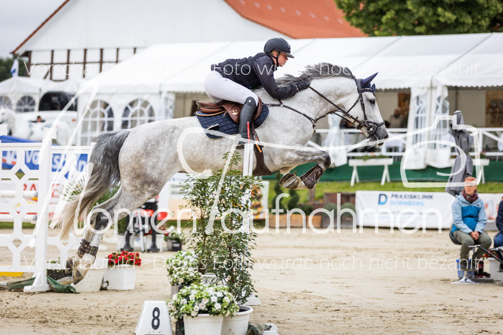 BHO-2PhSpr-M-5-2056 | MomenTaufnahmen Pferdesportfotos