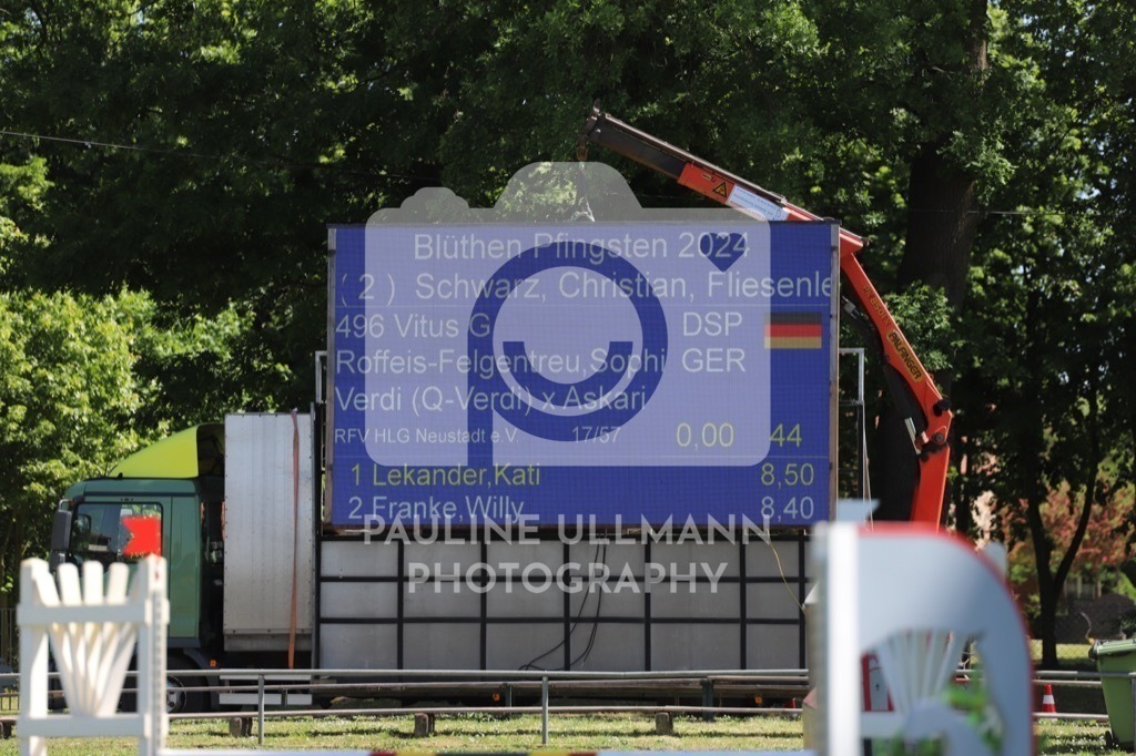 IMG_6134 | Pauline Ullmann Photography - Realisiert mit Pictrs.com