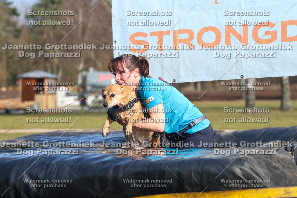 Dog Paparazzi - Strongdog North Mrz26-3241 | Dog Paparazzi Jeanette Grottendiek Fotografie & Videografie - Realisiert mit Pictrs.com