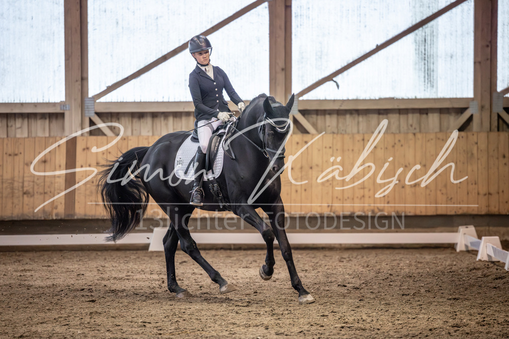 20251011-_3LI2090 | Tierfotografie Pferde, Hunde, Katzen, Haustiere.
Turnierfotografie Reitturniere, Reiten, Springreiten, Dressur in Hanau, dem Main-Kinzig-Kreis und dem Rhein-Main- Gebiet um Frankfurt