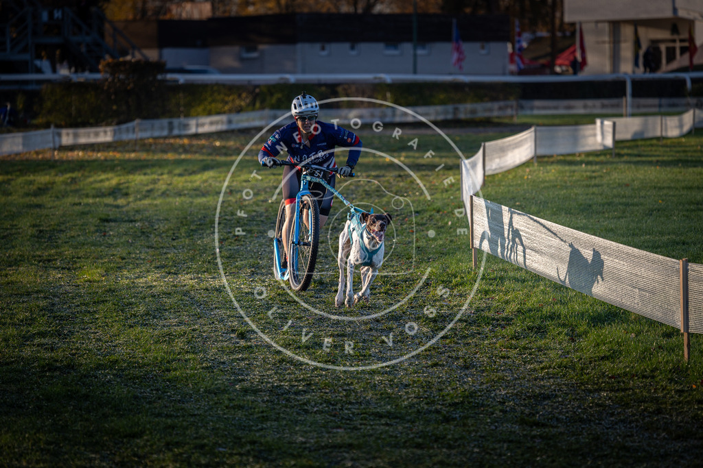 CaniXpix_0L8A2220 | Hundefotografie, Tierfotograf, Pfotenfotografie, Fotoshooting Hund, Hunde Portrait, Hundesport, Hundeportraits, Heideshooting, Hunde, Sportfotograf, Hundefotograf, Turnierhundsport, THS,  - Realisiert mit Pictrs.com