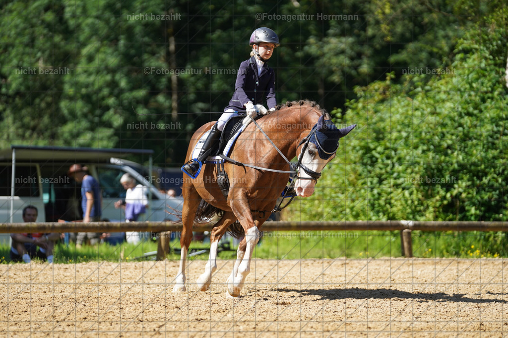 20240706-FAH04918 | Grafing Turnierfotos, Reitverein Ebersberg, Turnierfotografen Bayern, reitsportbilder, Pferdefotograf, reitsportfotograf, Sportbilder, Reitsportfotografie, Fotoagentur Herrmann, Turnierfotograf