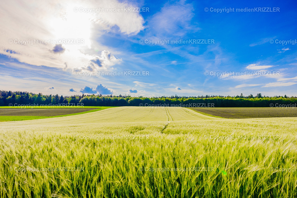 _J3A7807 | medienkrizzler - Realisiert mit Pictrs.com