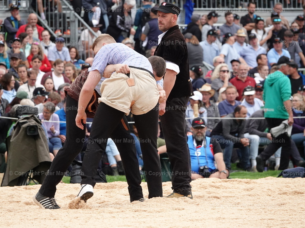 DSC08386 | Schwingen - Realisiert mit Pictrs.com