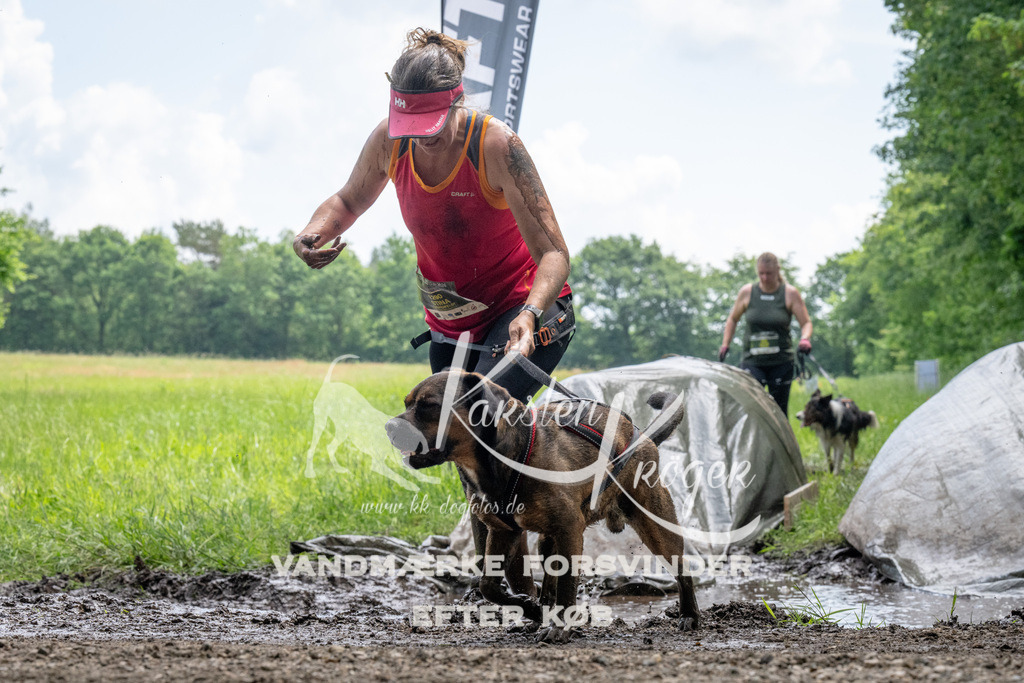 1127_ZZ92978 | kk-dogfotos