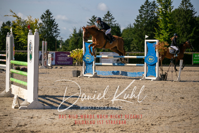 IMG_5346 | Turniersportfotografie; Pferdefotografie; Dressurfotografie