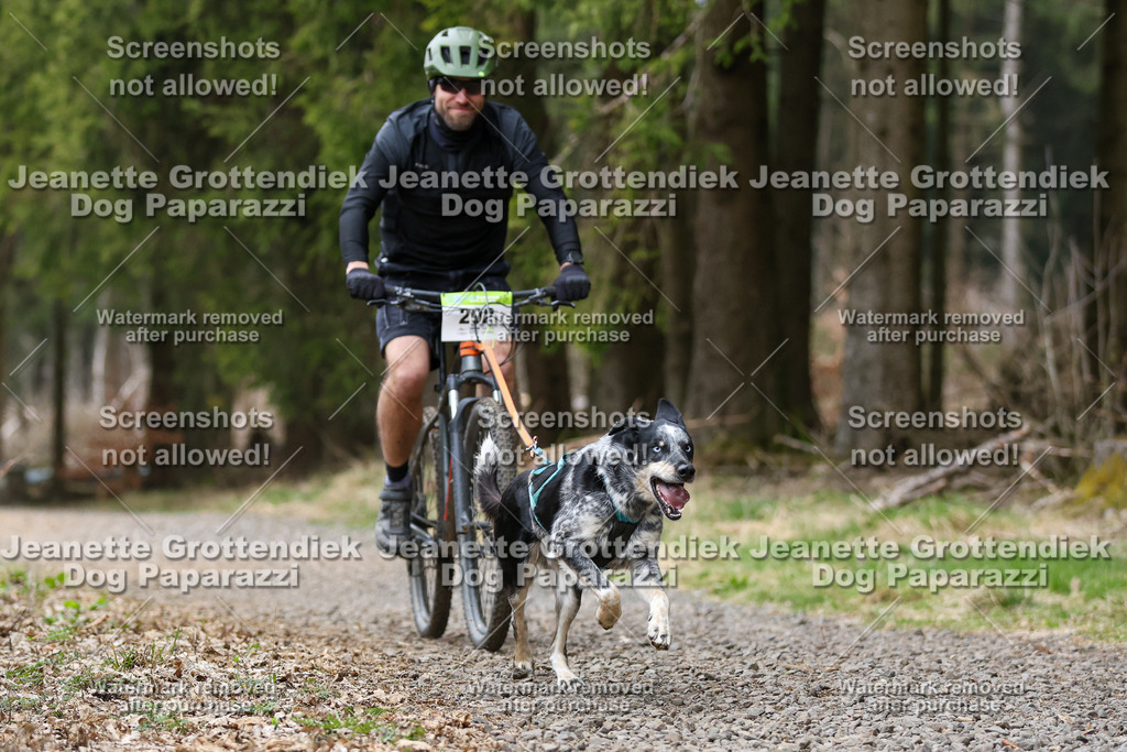 Dog Paparazzi - VCC26-546 | Dog Paparazzi Jeanette Grottendiek Fotografie & Videografie - Realisiert mit Pictrs.com