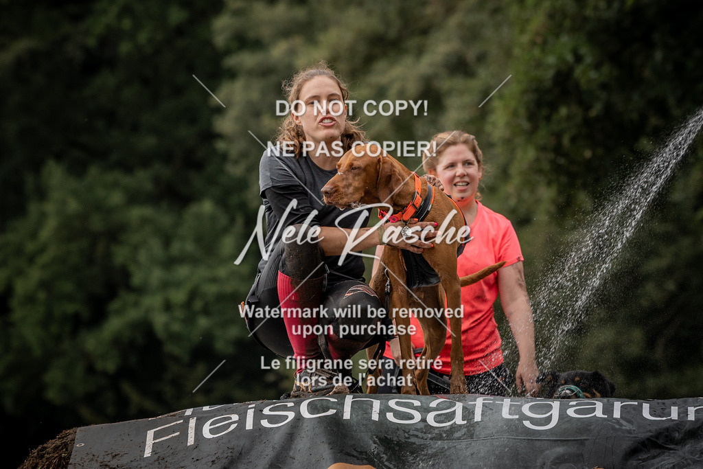 nelerasche_Wingst_Sa1300-1330_150 | nelerasche