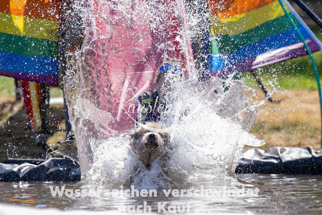 1411_ZZ93926 | kk-dogfotos