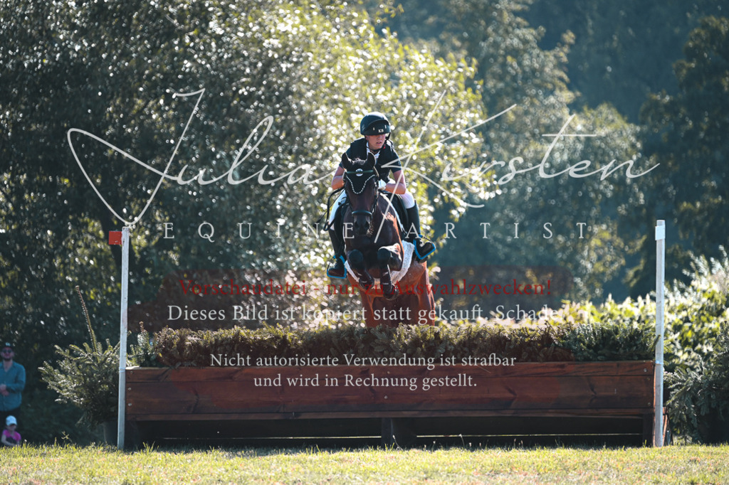 DSC_7861 | Pferde- und Turnierfotografie in Westsachsen. Pferdeportraits, Auftragszeichnungen und intuitive Kunst.