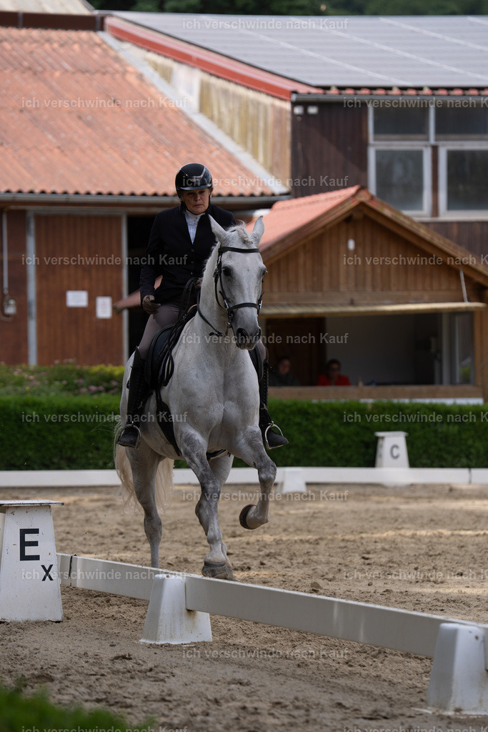 WS_DR_43_sinafilmart_IN01339 | working equitationturnier fotograf videograf stoibphotography marixx film working equitation deutschland reitsport turnierfotografie eventfotografie equestrian events