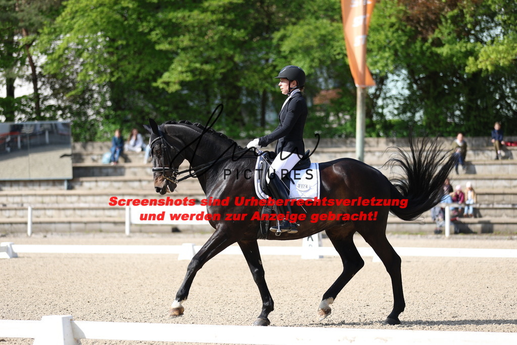 A40A3784 | lmwpictures - Realisiert mit Pictrs.com