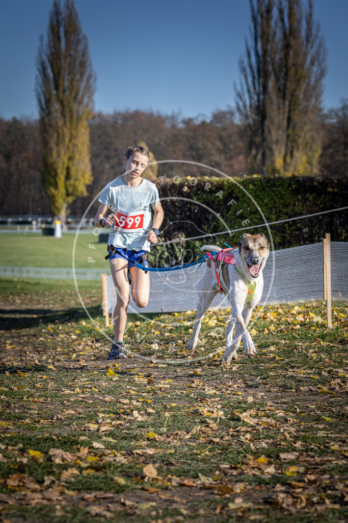 CaniXpix_DV3A9453 | Hundefotografie, Tierfotograf, Pfotenfotografie, Fotoshooting Hund, Hunde Portrait, Hundesport, Hundeportraits, Heideshooting, Hunde, Sportfotograf, Hundefotograf, Turnierhundsport, THS,  - Realisiert mit Pictrs.com