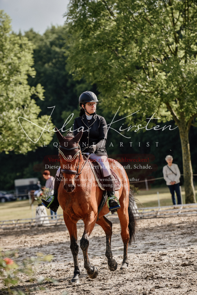 DSC_8486 | Pferde- und Turnierfotografie in Westsachsen. Pferdeportraits, Auftragszeichnungen und intuitive Kunst.