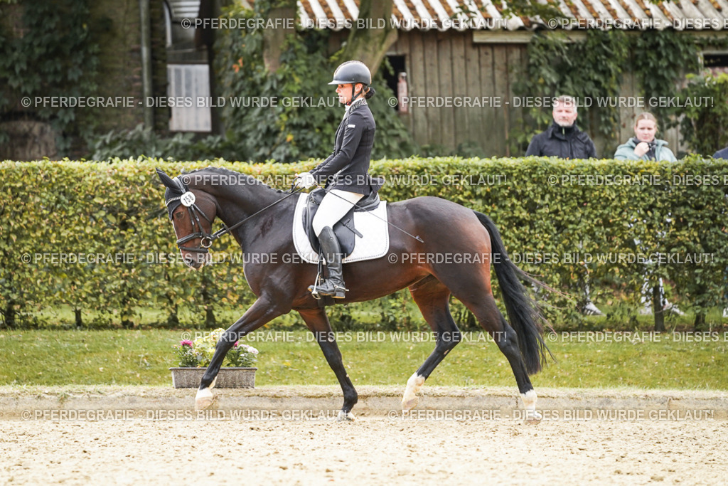 DSC01016 | Pferdegrafie