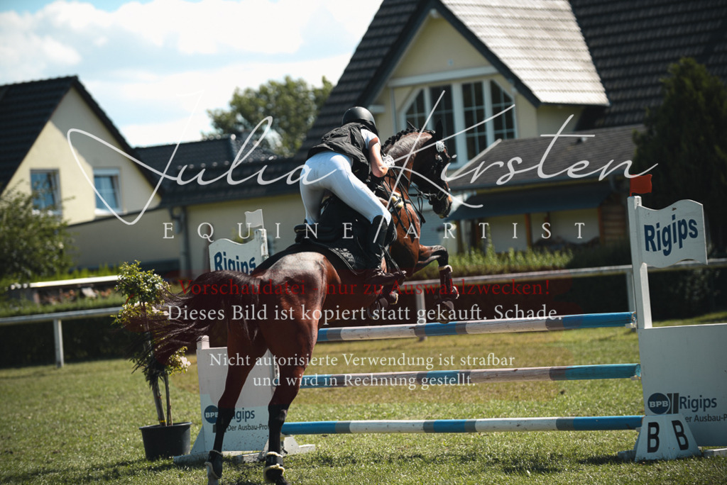 DSC_7207 | Pferde- und Turnierfotografie in Westsachsen. Pferdeportraits, Auftragszeichnungen und intuitive Kunst.