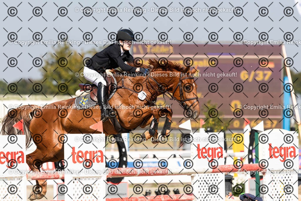 CL5A6572 | Emilia Reinking Fotografie - Realisiert mit Pictrs.com