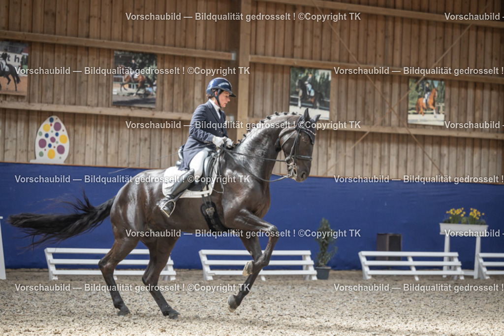 _D5A0634 | Emotionale Pferde- & People-Fotografie rund um Heidelberg, Leimen & Umgebung. Natürliche Fotos von Pferd, Mensch & Familie. Jetzt Termin sichern!