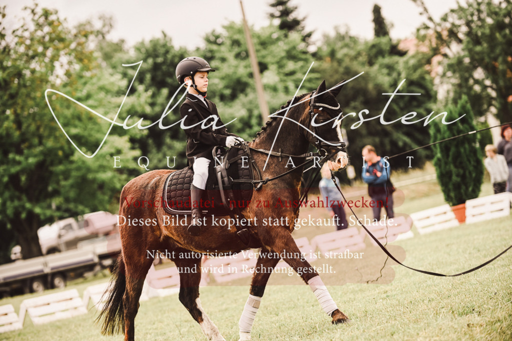DSC_5336 | Pferde- und Turnierfotografie in Westsachsen. Pferdeportraits, Auftragszeichnungen und intuitive Kunst.