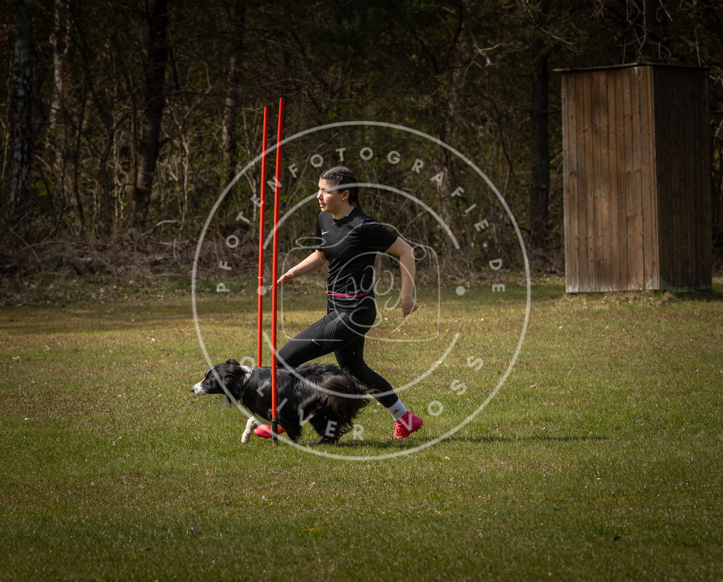Pfotenfotografie_DV3A5052 | Hundefotografie, Tierfotograf, Pfotenfotografie, Fotoshooting Hund, Hunde Portrait, Hundesport, Hundeportraits, Heideshooting, Hunde, Sportfotograf, Hundefotograf, Turnierhundsport, THS,  - Realisiert mit Pictrs.com