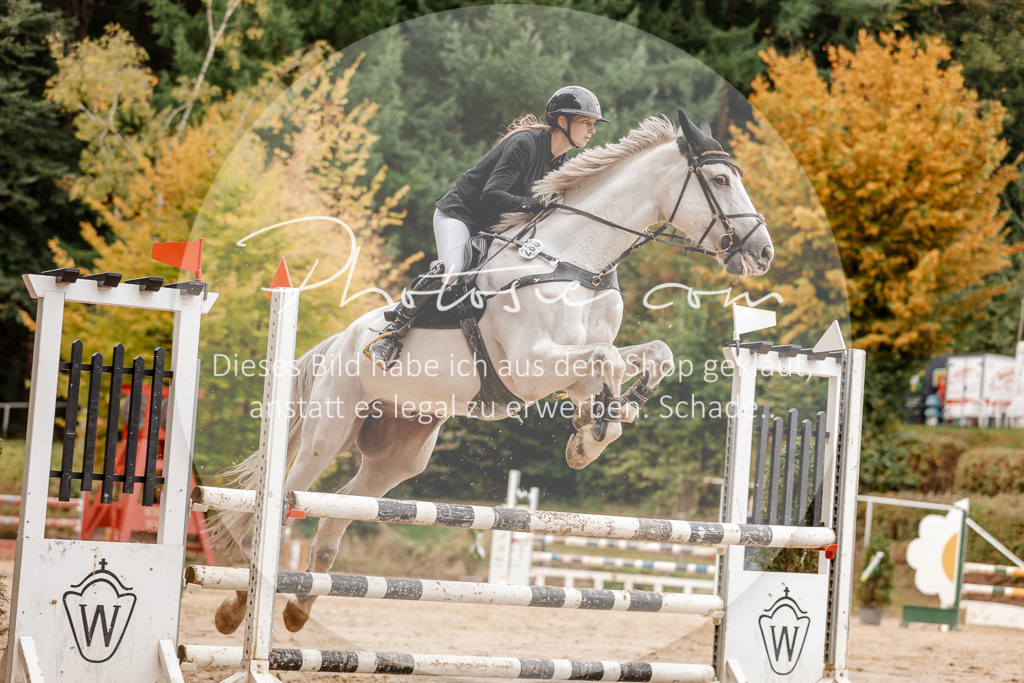 3I6A6890 | Stimmungsvolle Portraits und Reitsportfotografie im Ruhrgebiet und im Münsterland.

Pferdefotografie, Hundefotografie, Tierfotografie, Reportagen, Portraits von Tier und Mensch, Turnierfotografie in Bochum, Recklinghausen, Marl, Haltern am See, Dülmen.. - Realisiert mit Pictrs.com