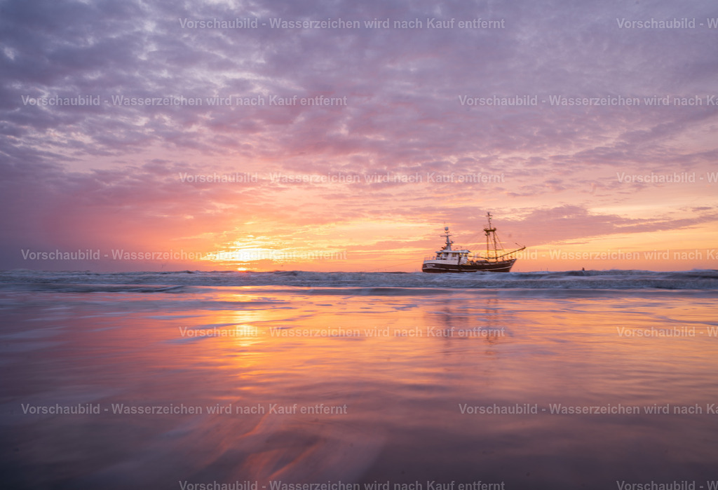 DSC05321-Enhanced-NR | marcuslinek