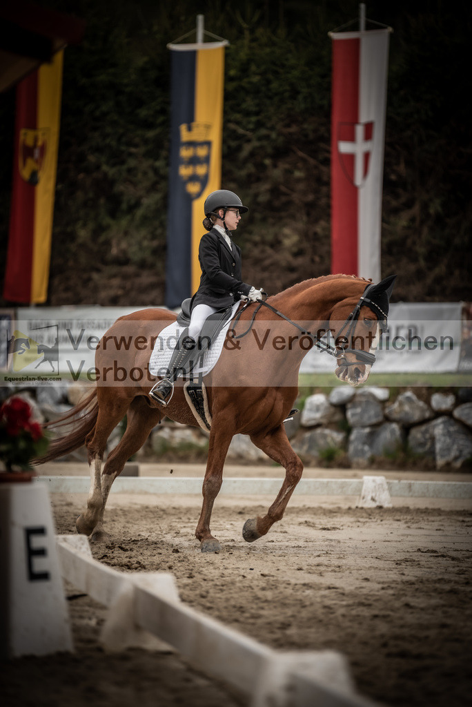 DSC_0147 | equestrian-live-com