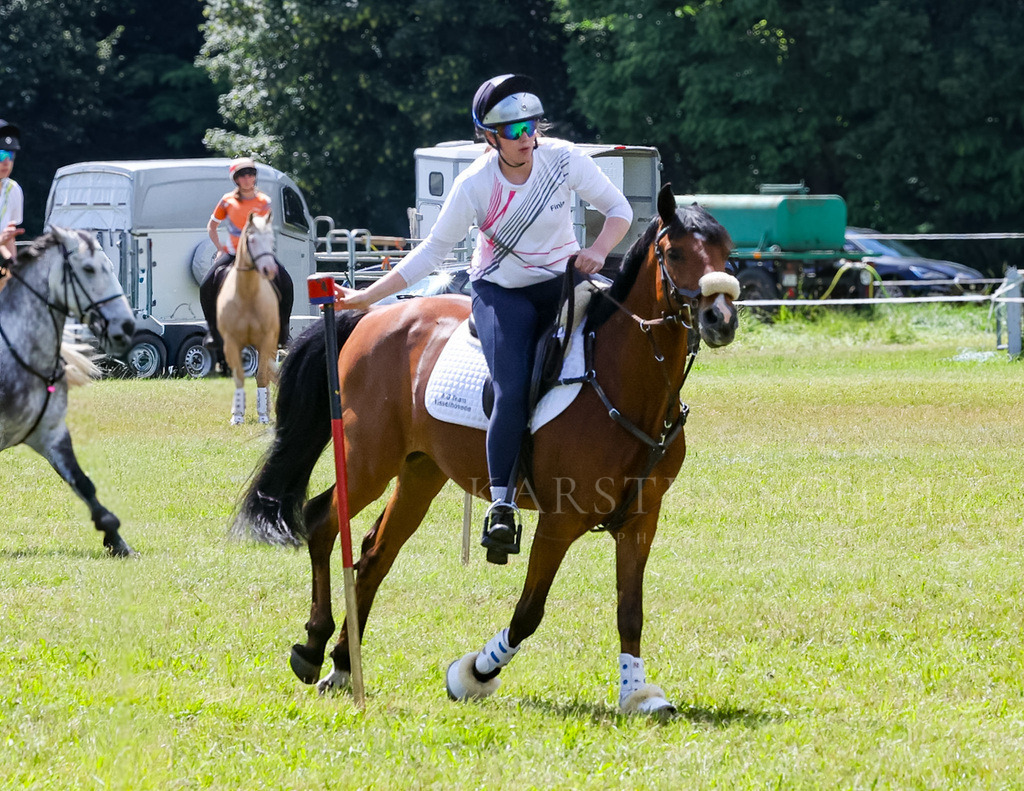 IMG_1628 | Reitsport Reiten