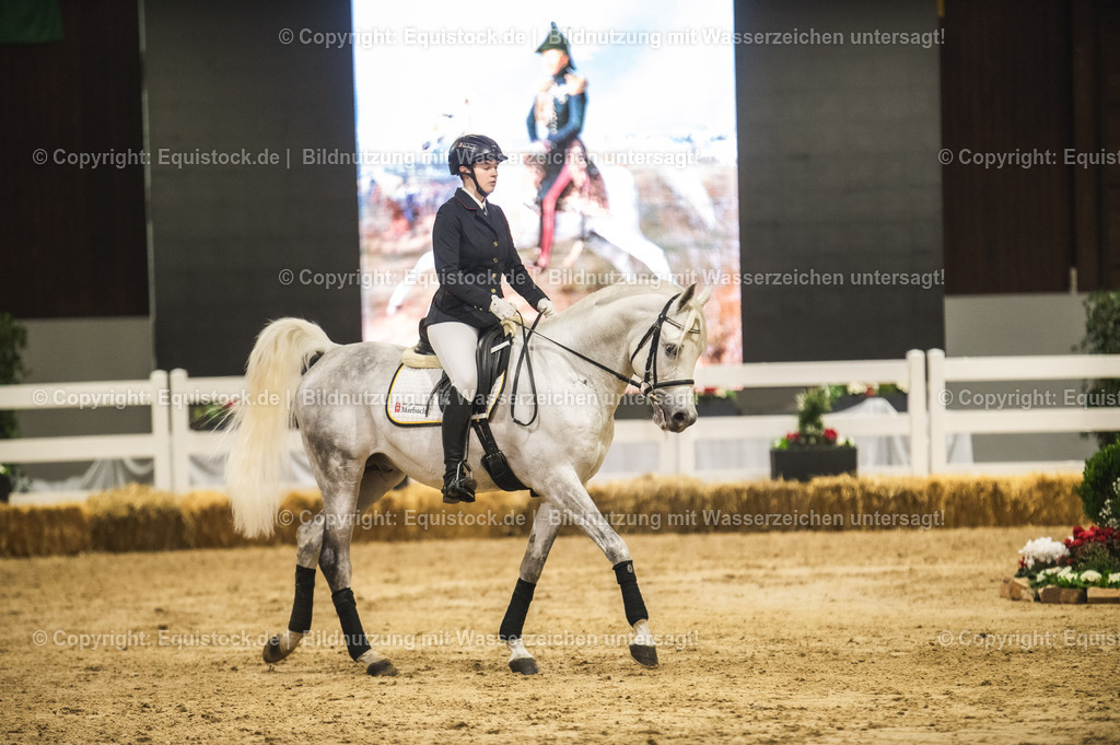 20240302_Hengstvorstellung_Marbach_TOMsPiC_1025-2 | equistock