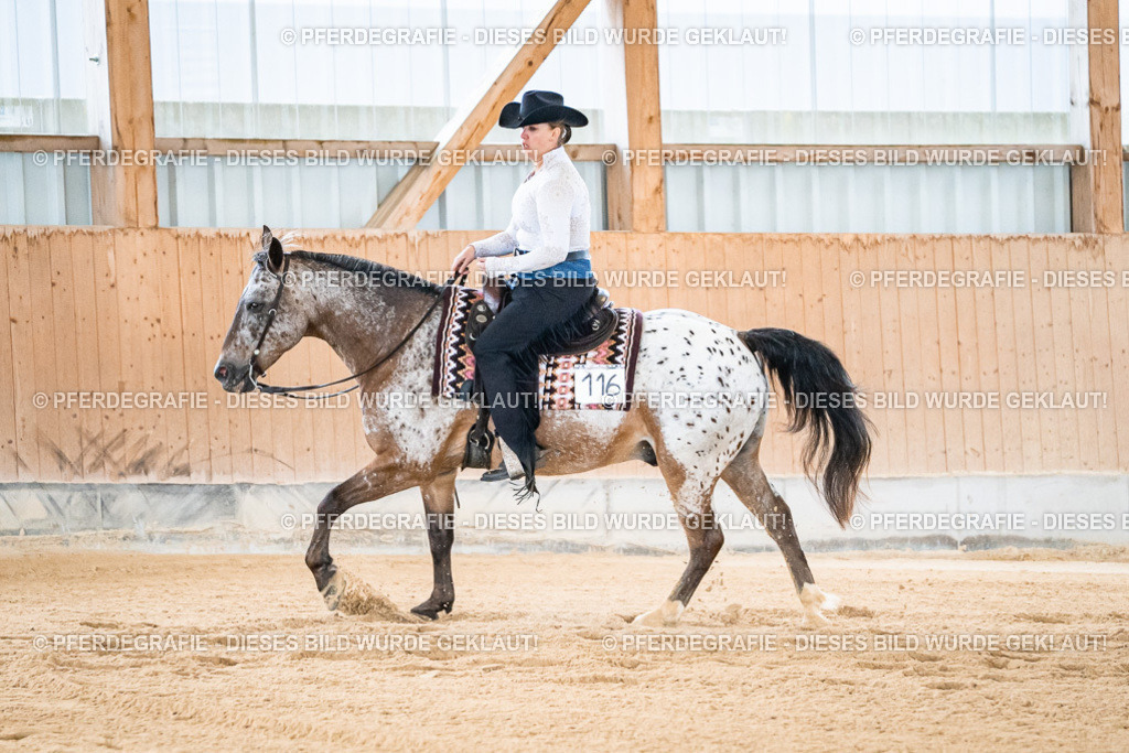 DSC01779 | Pferdegrafie