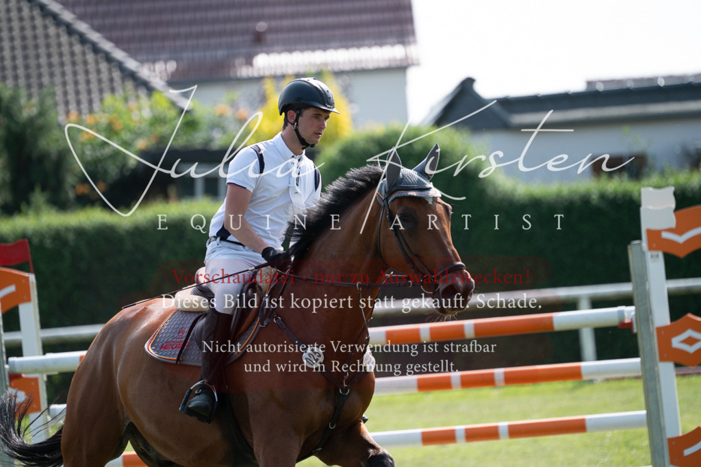 DSC_0929 | Pferde- und Turnierfotografie in Westsachsen. Pferdeportraits, Auftragszeichnungen und intuitive Kunst.