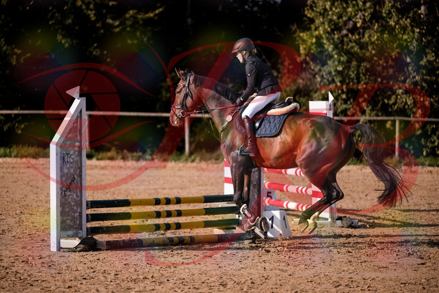 2026_10_03_Siefer-Hof_155916_Z81_79081974 | Professionelle Reitsport-, Turnier- und Eventfotografie von Robert Broda. Galerien mit ausgewählten und bearbeiteten Bildern direkt online ansehen und bestellen.