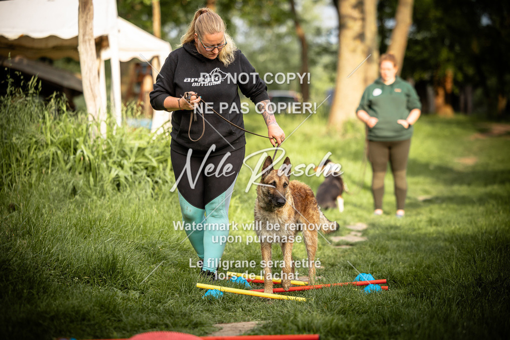 nelerasche_So-earlydog_69 | nelerasche