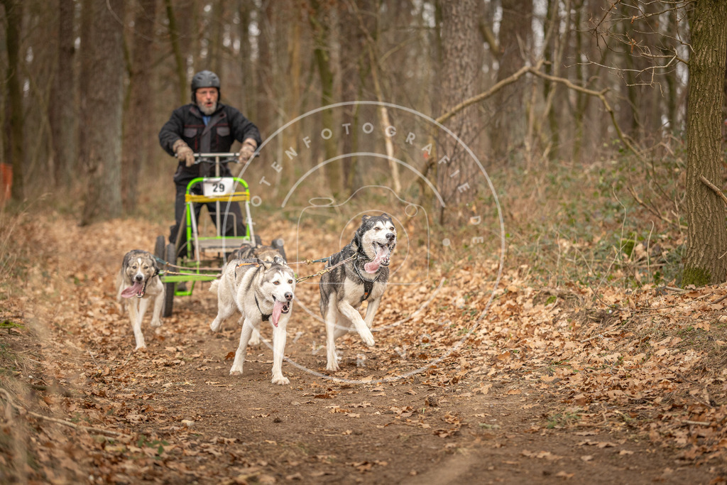Pfotenfotografie_DV3A8875 | Hundefotografie, Tierfotograf, Pfotenfotografie, Fotoshooting Hund, Hunde Portrait, Hundesport, Hundeportraits, Heideshooting, Hunde, Sportfotograf, Hundefotograf, Turnierhundsport, THS,  - Realisiert mit Pictrs.com
