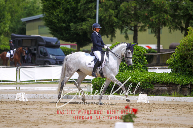 DKP40648 | Turniersportfotografie; Pferdefotografie; Dressurfotografie