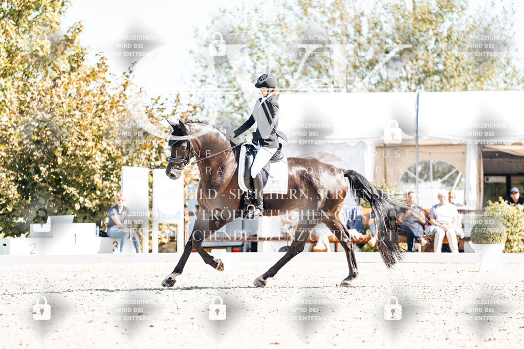 CK909420 | Turnierfotografie Pferdefotografie Trier Rheinland-Pfalz Pferdesport Reitsport Tierfotografie Sportfotografie Pferdevideo Pferdevideografie Equestrianvideography equestrianphotography  - Realisiert mit Pictrs.com